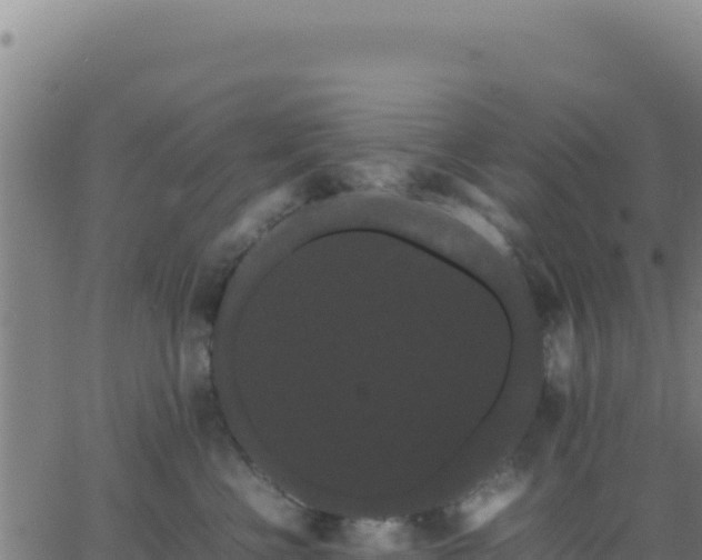 X0000062850570200601201706