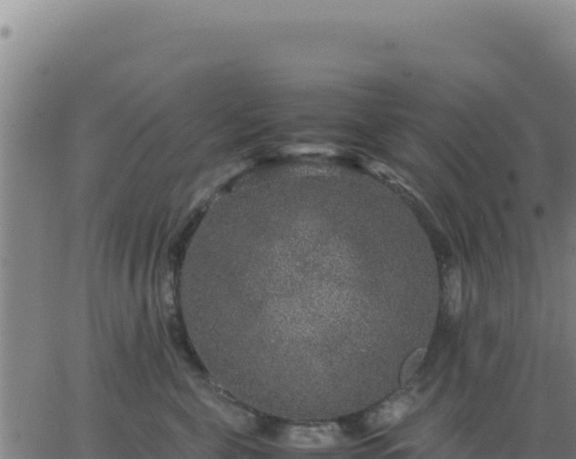 X0000062850571200601201706