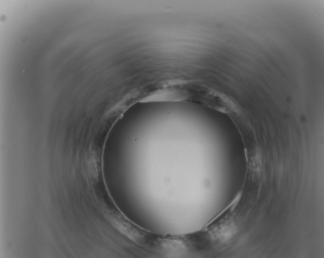 X0000062850572200601201706