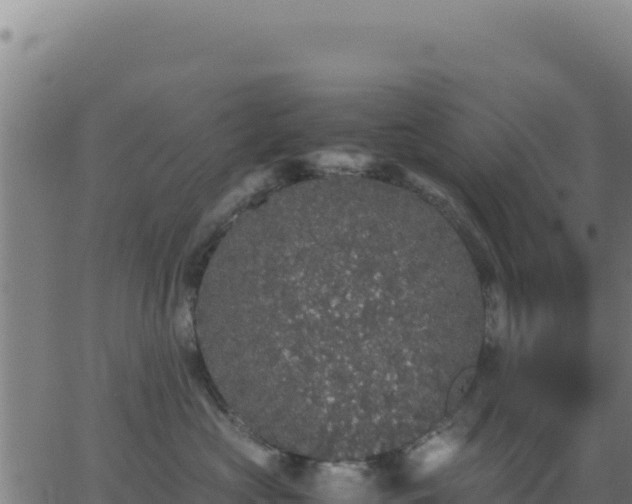 X0000062850573200601201706