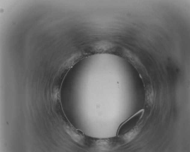 X0000062850574200601201706