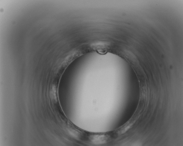 X0000062850575200601201706