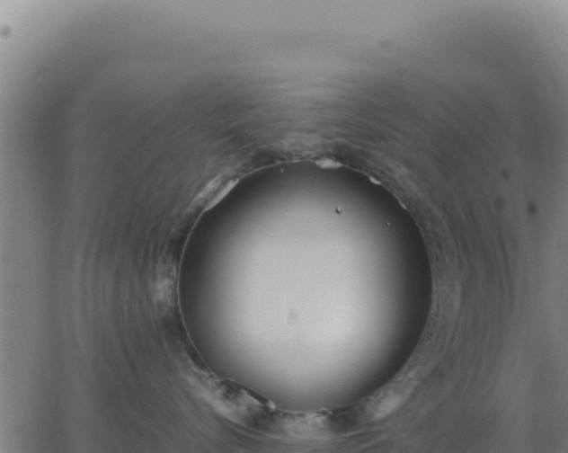 X0000062850576200601201706