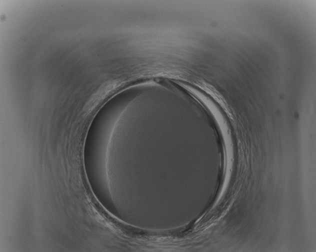 X0000062850577200601201705