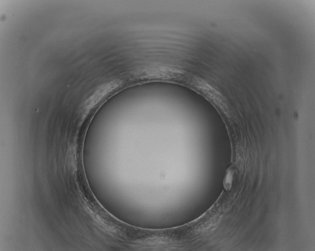 X0000062850578200601201705