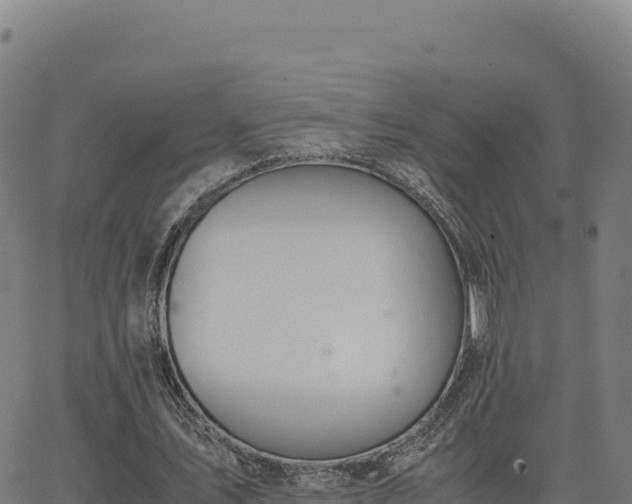 X0000062850579200601201705