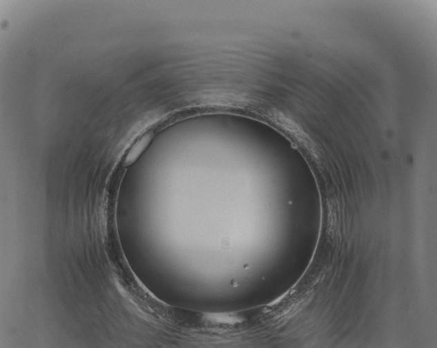 X0000062850580200601201705