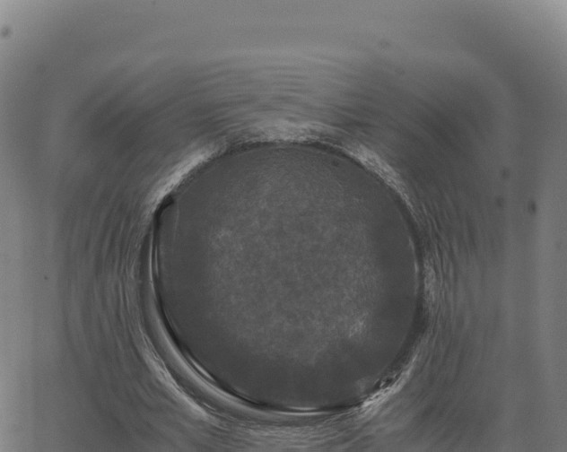 X0000062850581200601201705