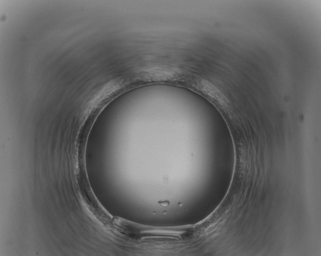 X0000062850582200601201705