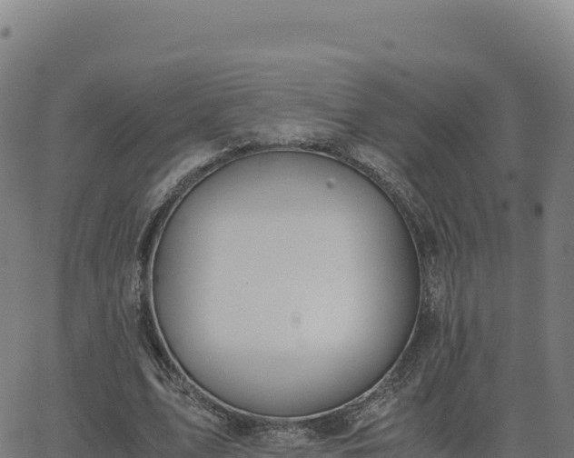 X0000062850583200601201705