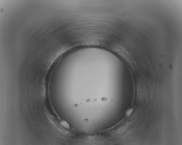 X0000062850584200601201705