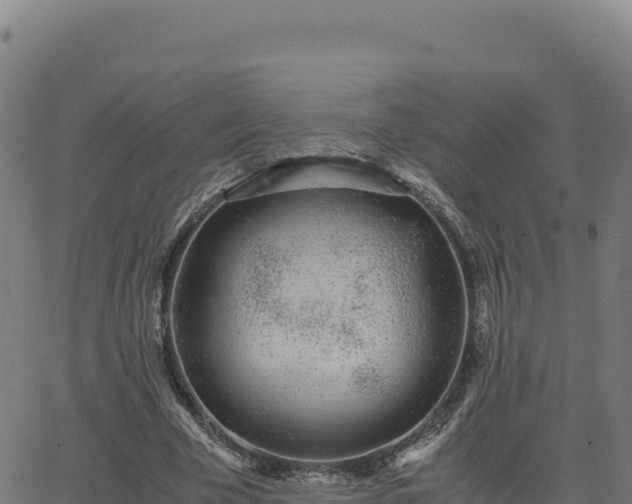 X0000062850585200601201705