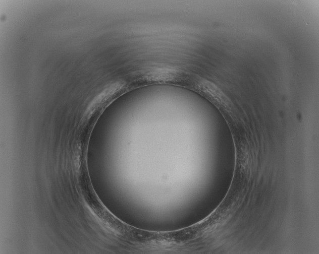 X0000062850586200601201705