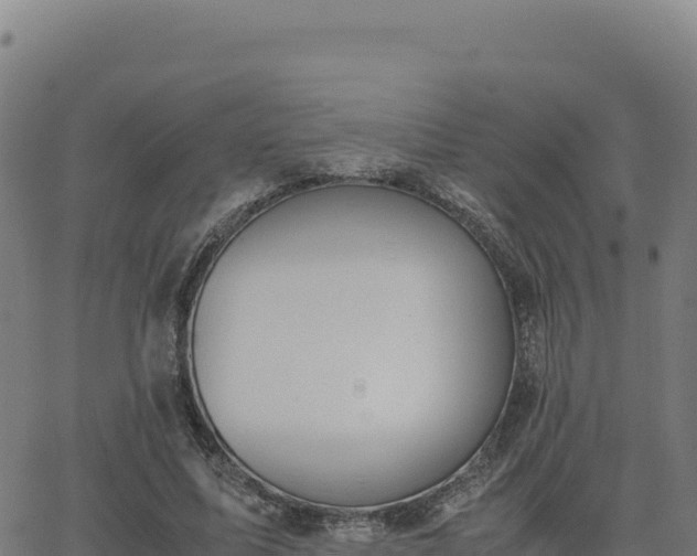 X0000062850587200601201705