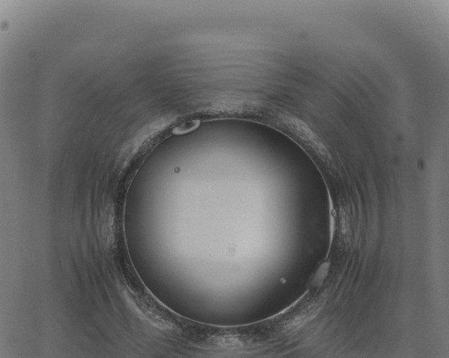 X0000062850588200601201705