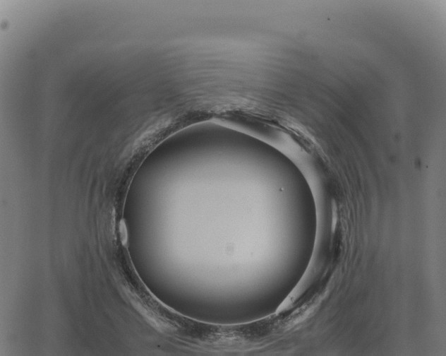 X0000062850589200601201705