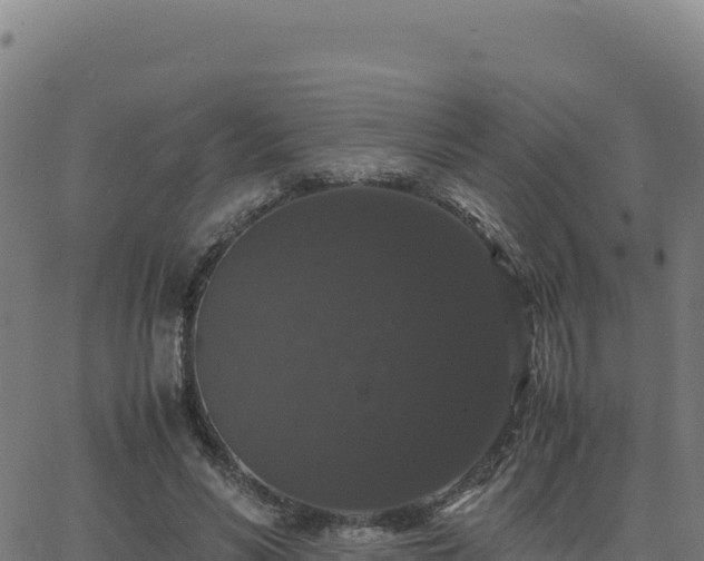 X0000062850590200601201705