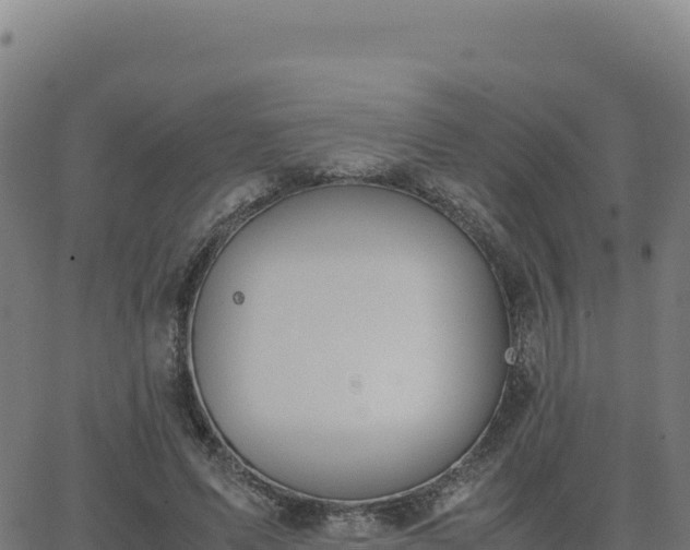 X0000062850591200601201705