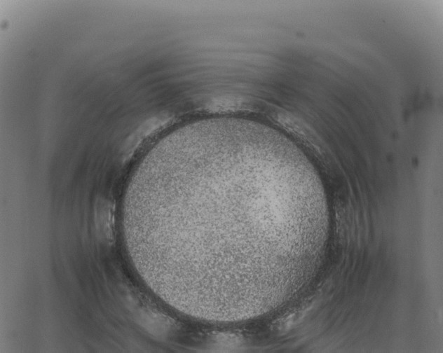 X0000062850592200601201705