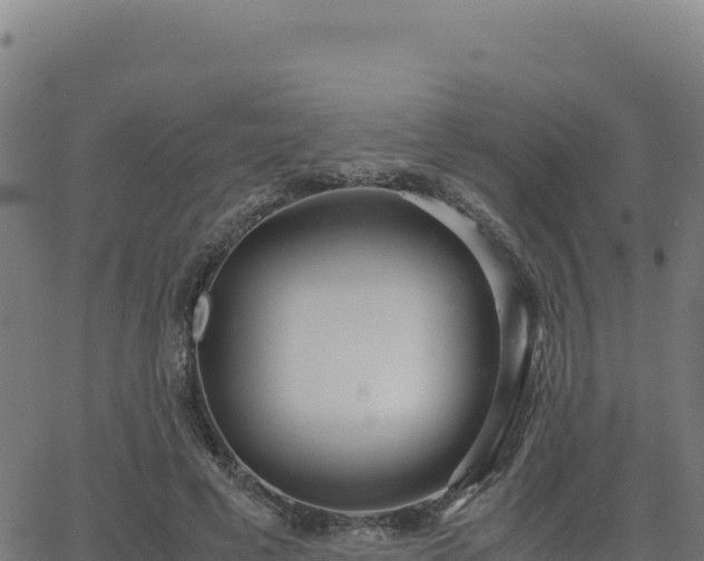 X0000062850593200601201705