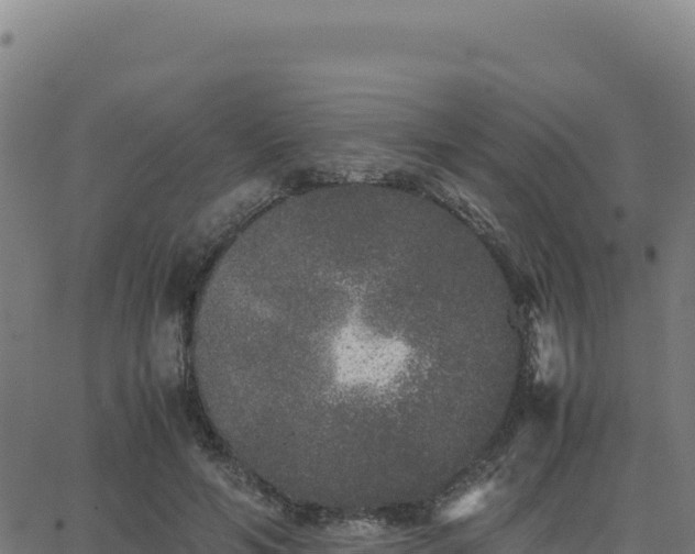 X0000062850594200601201705