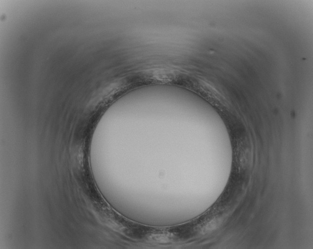 X0000062850595200601201705