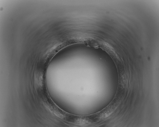 X0000062850596200601201705