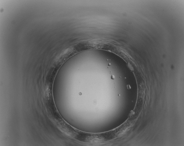 X0000062850597200601201705