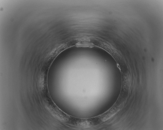 X0000062850600200601201705