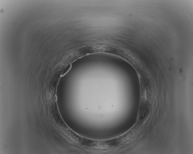 X0000062850601200601201705