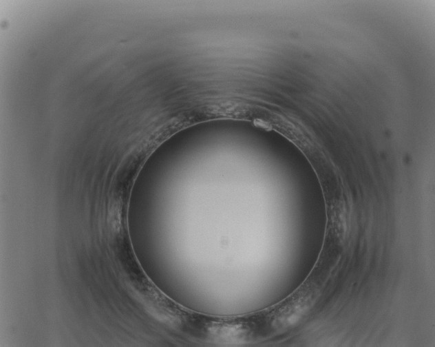 X0000062850602200601201705