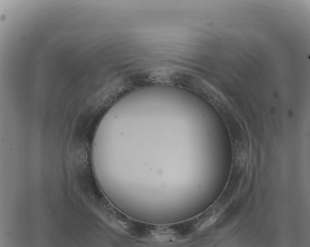 X0000062850603200601201705