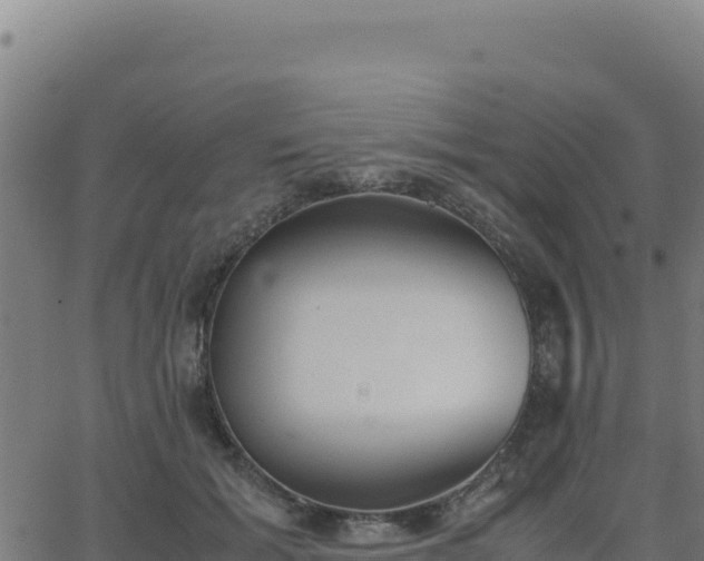 X0000062850605200601201705