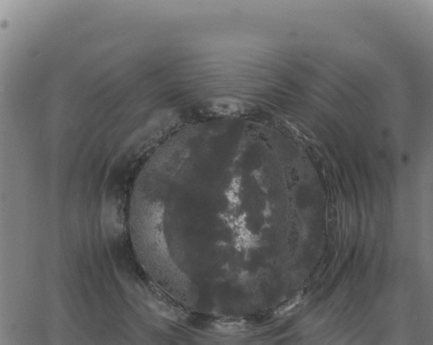 X0000062850606200601201705