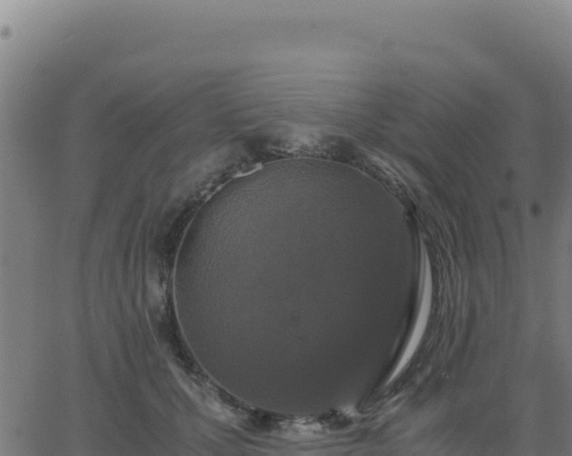 X0000062850607200601201705