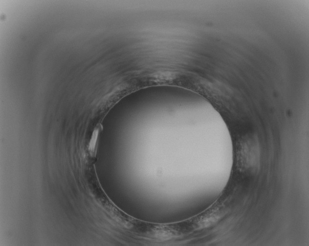 X0000062850608200601201705