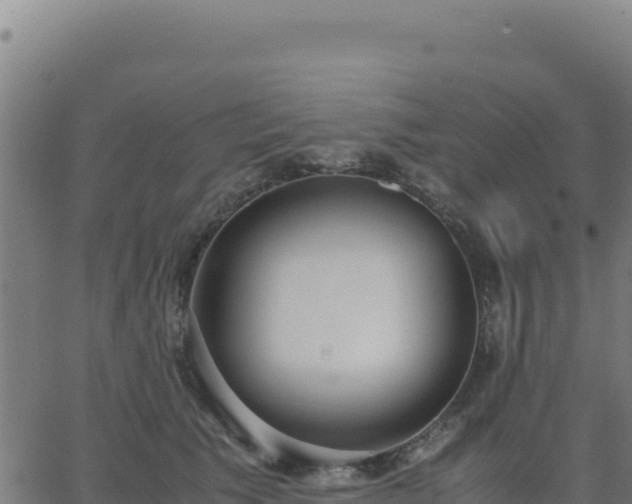 X0000062850609200601201705