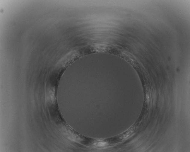 X0000062850610200601201705