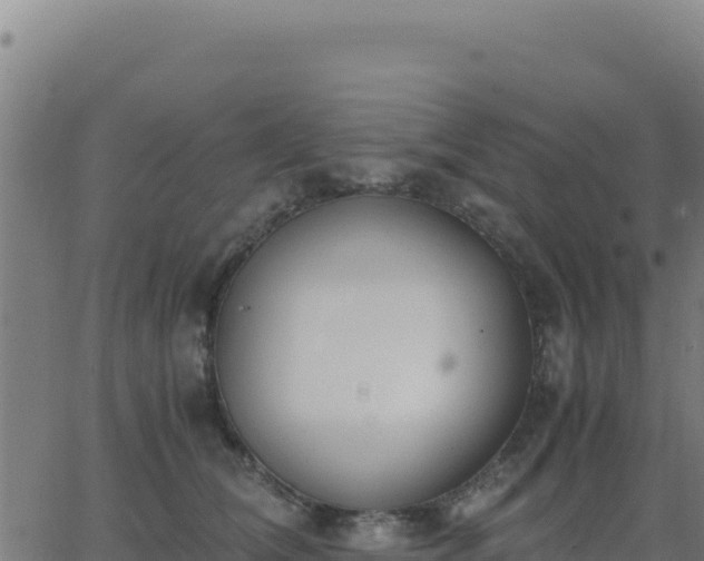 X0000062850612200601201705