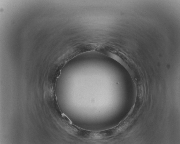 X0000062850613200601201705