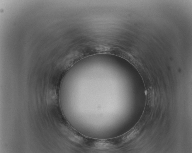 X0000062850614200601201705