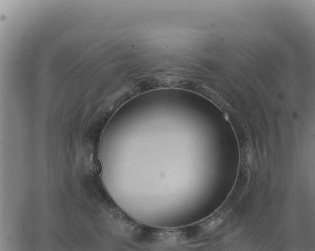 X0000062850615200601201705