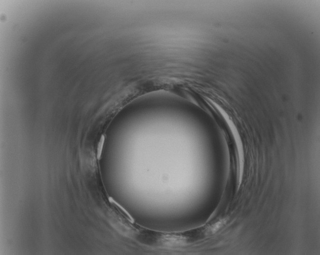 X0000062850617200601201705