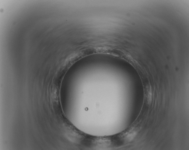 X0000062850619200601201705