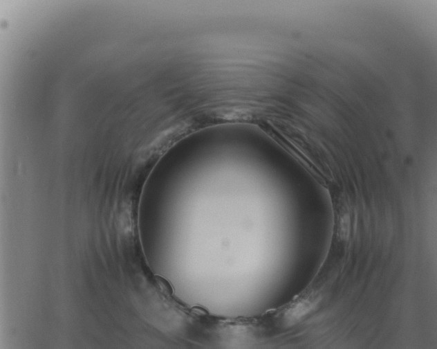 X0000062850620200601201705