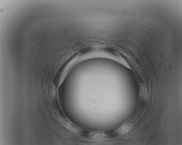 X0000062850621200601201705