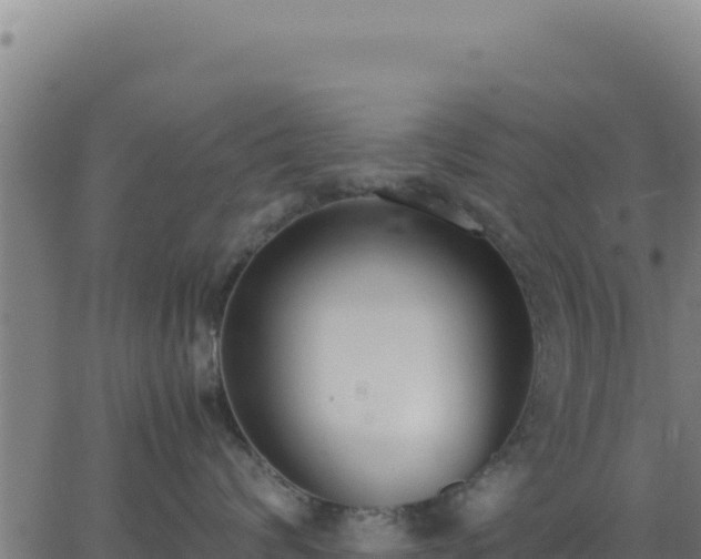 X0000062850624200601201705