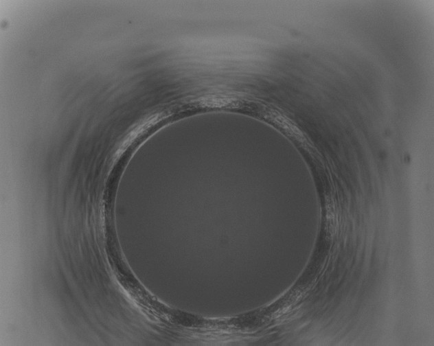 X0000062850626200601201704