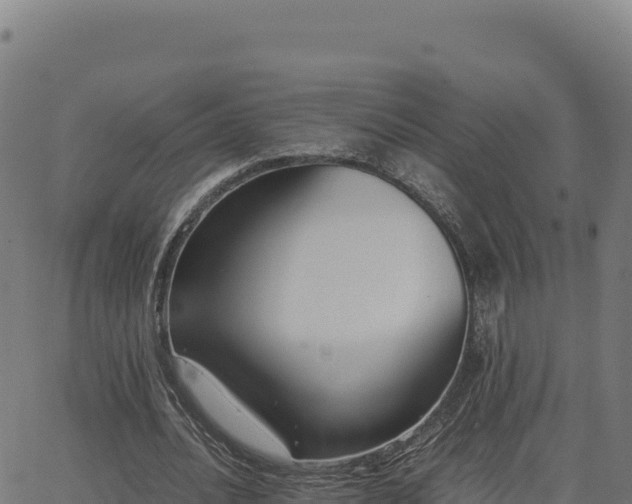 X0000062850628200601201704