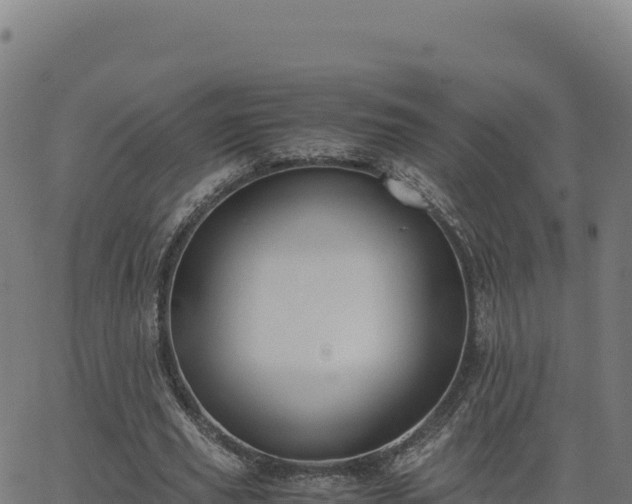 X0000062850629200601201704